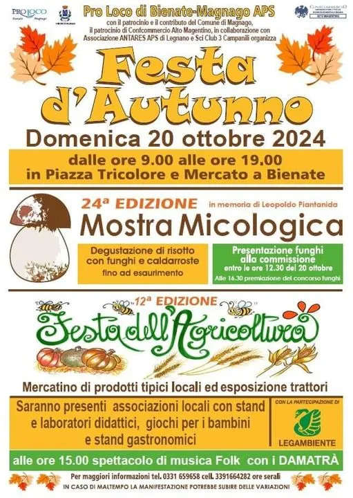 Festa d'autunno